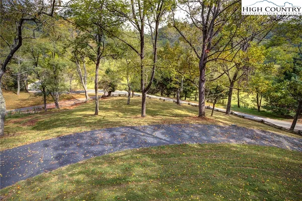 a view of yard with tree and trees