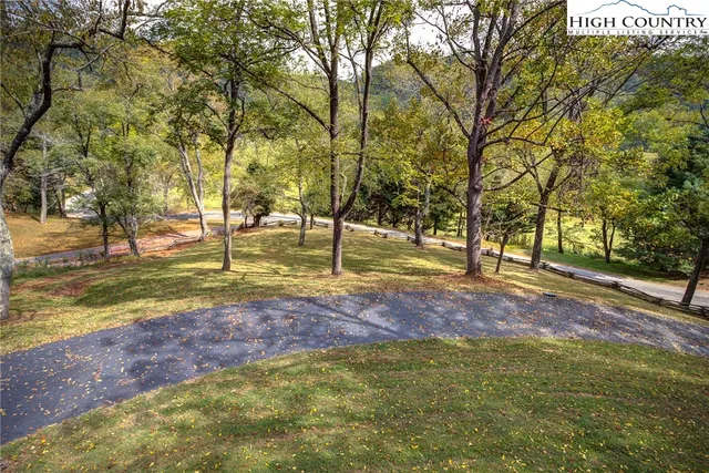 a view of yard with tree and trees