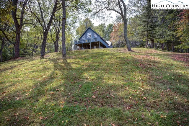 a view of large trees with a big yard