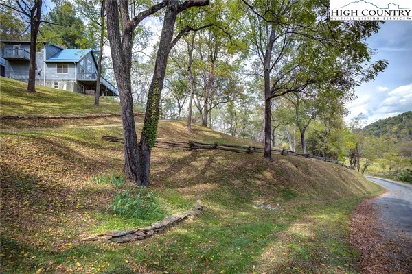 a view of a yard with large trees