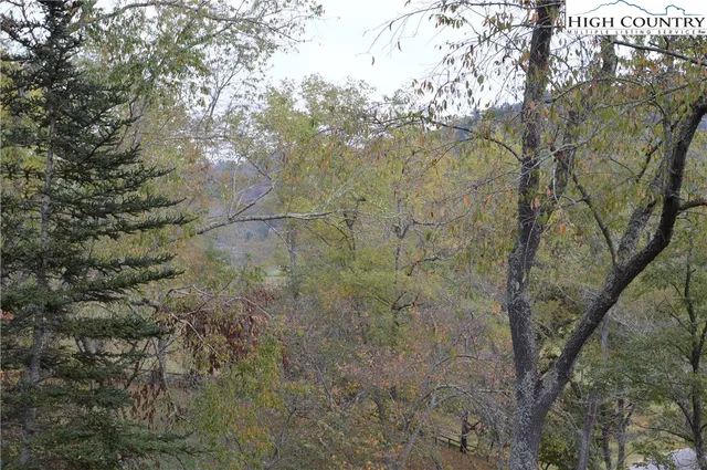 a view of a yard with a tree