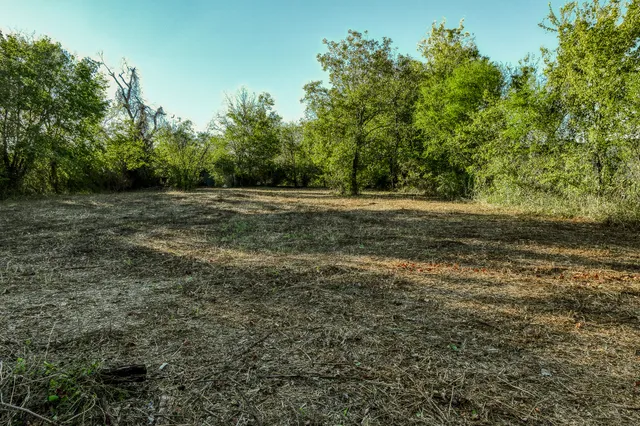 a view of outdoor space and yard