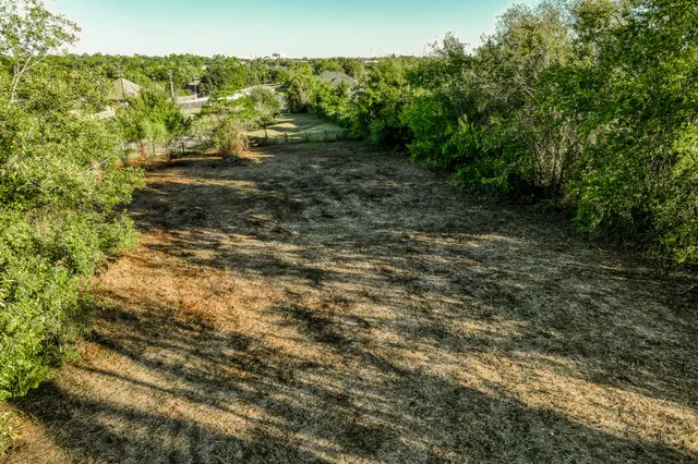 a view of a yard with plants and large trees