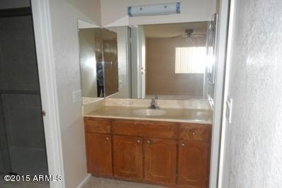 2103 North Recker Road Mesa, AZ 85215 - Photo 7 of 12 7 Master bath vanity