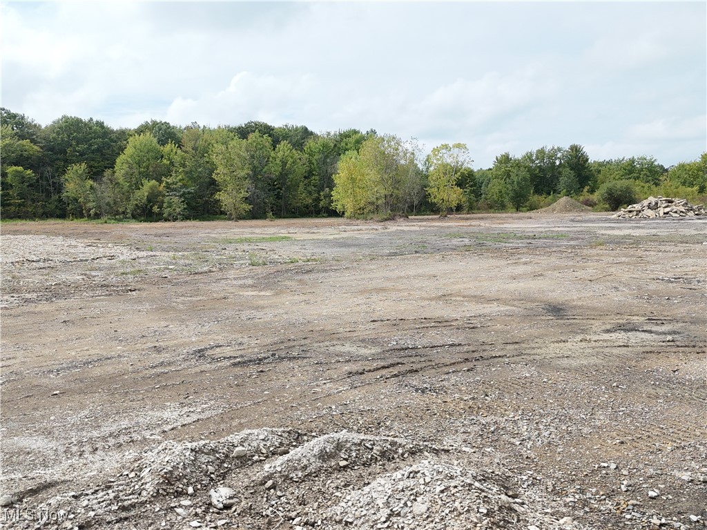 Old State Road Middlefield, OH 44062 - Photo 23 of 24 View of undeveloped land with rural landscape
