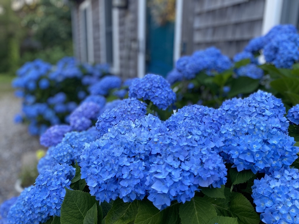 130 Helm Road Eastham, MA 02642 - Photo 2 of 23 Gallery Image 2