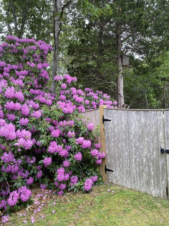 130 Helm Road Eastham, MA 02642 - Photo 21 of 23 Gallery Image 21