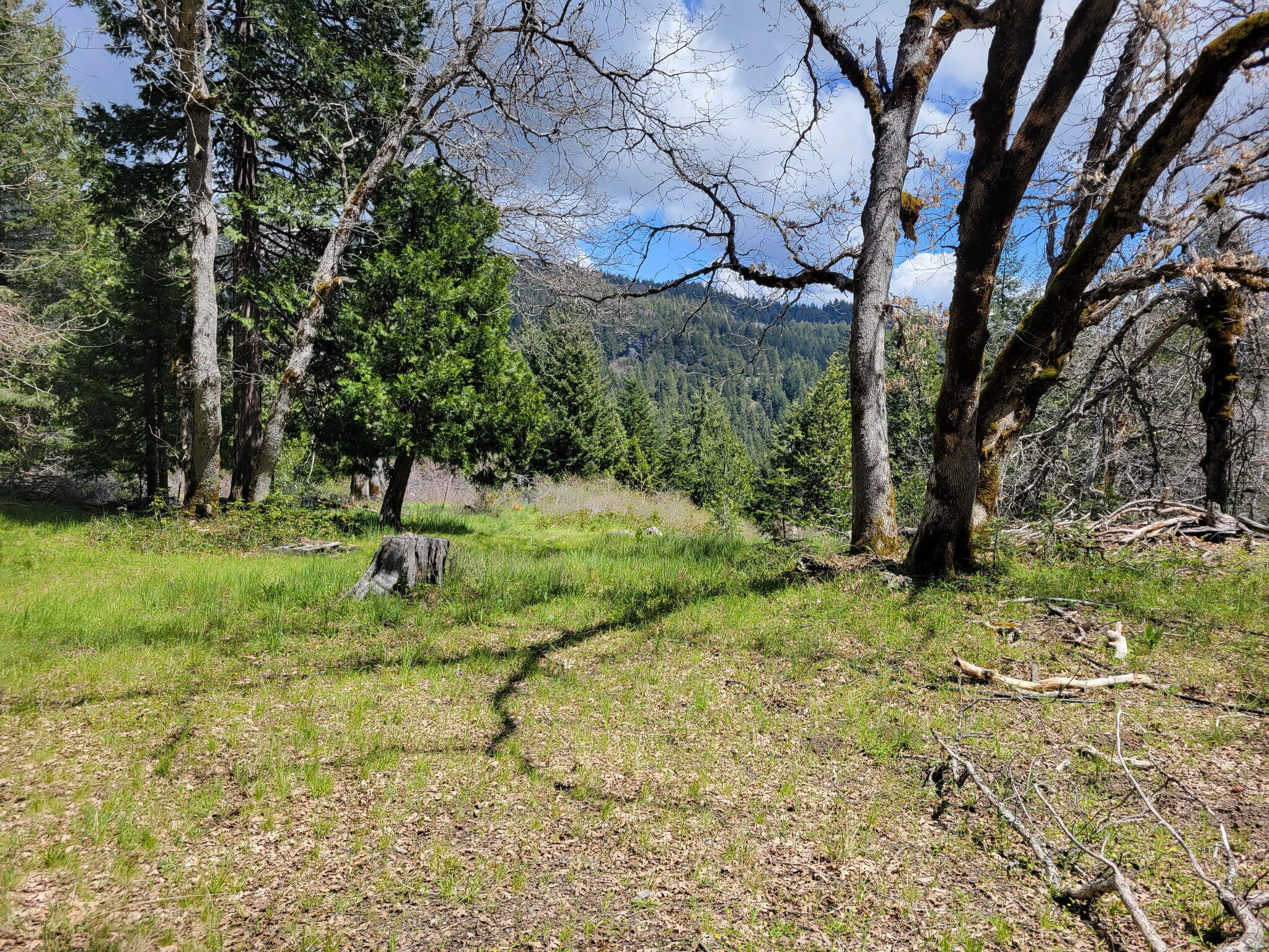 40-acres Snow Camp Road Korbel, CA 95550 - Photo 10 of 26