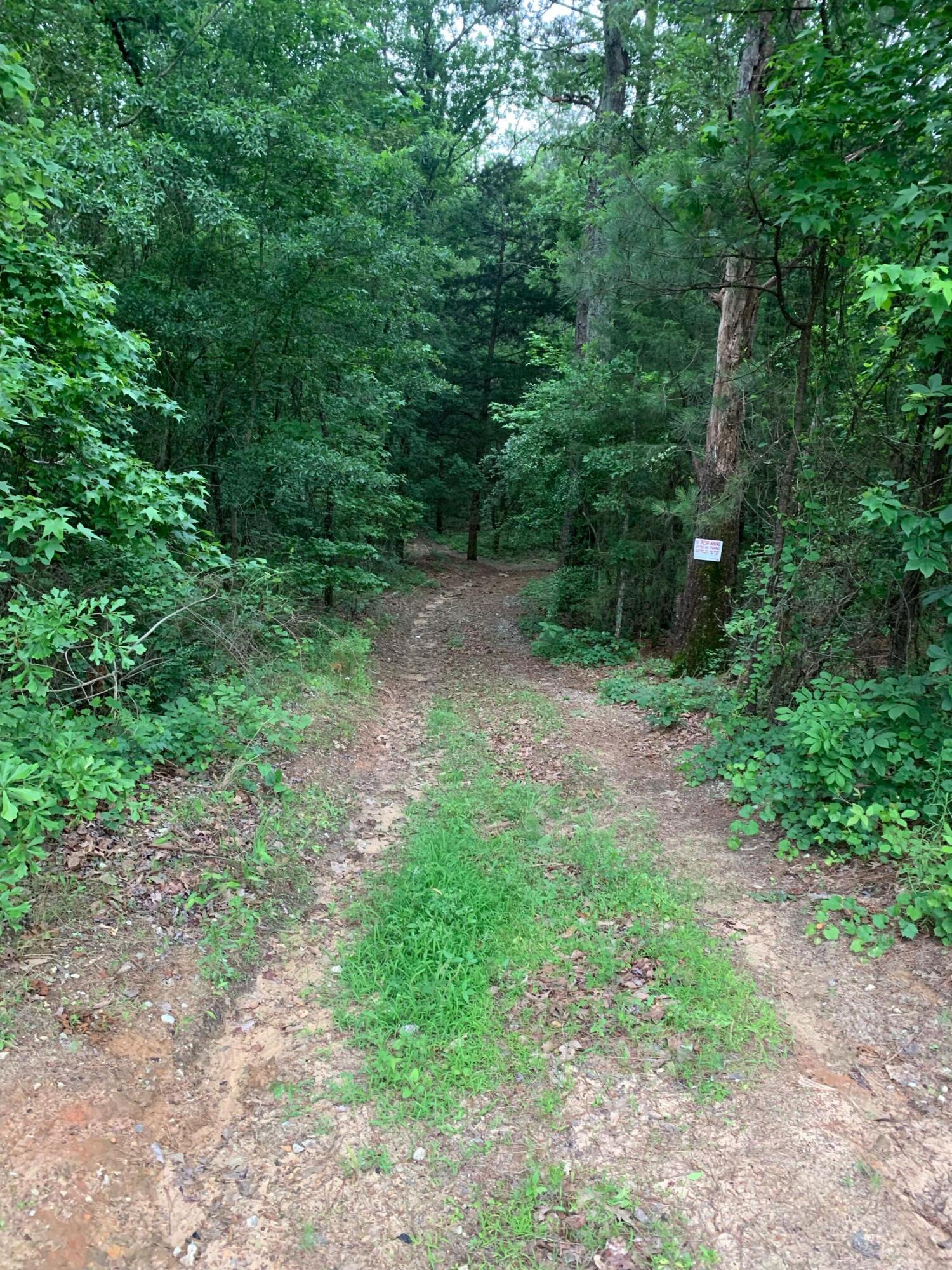 4544 Boulineau Road Blythe, GA 30805 - Photo 2 of 3 image1