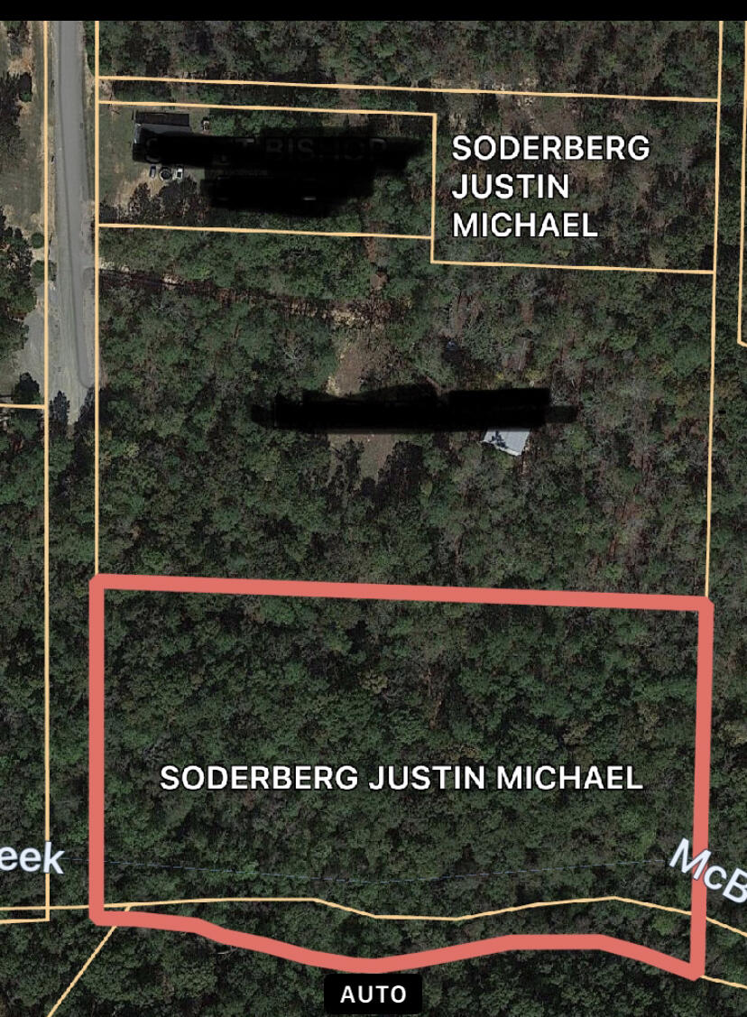 4544 Boulineau Road Blythe, GA 30805 - Photo 3 of 3 4544 & 4532 Boulineau Rd aerial
