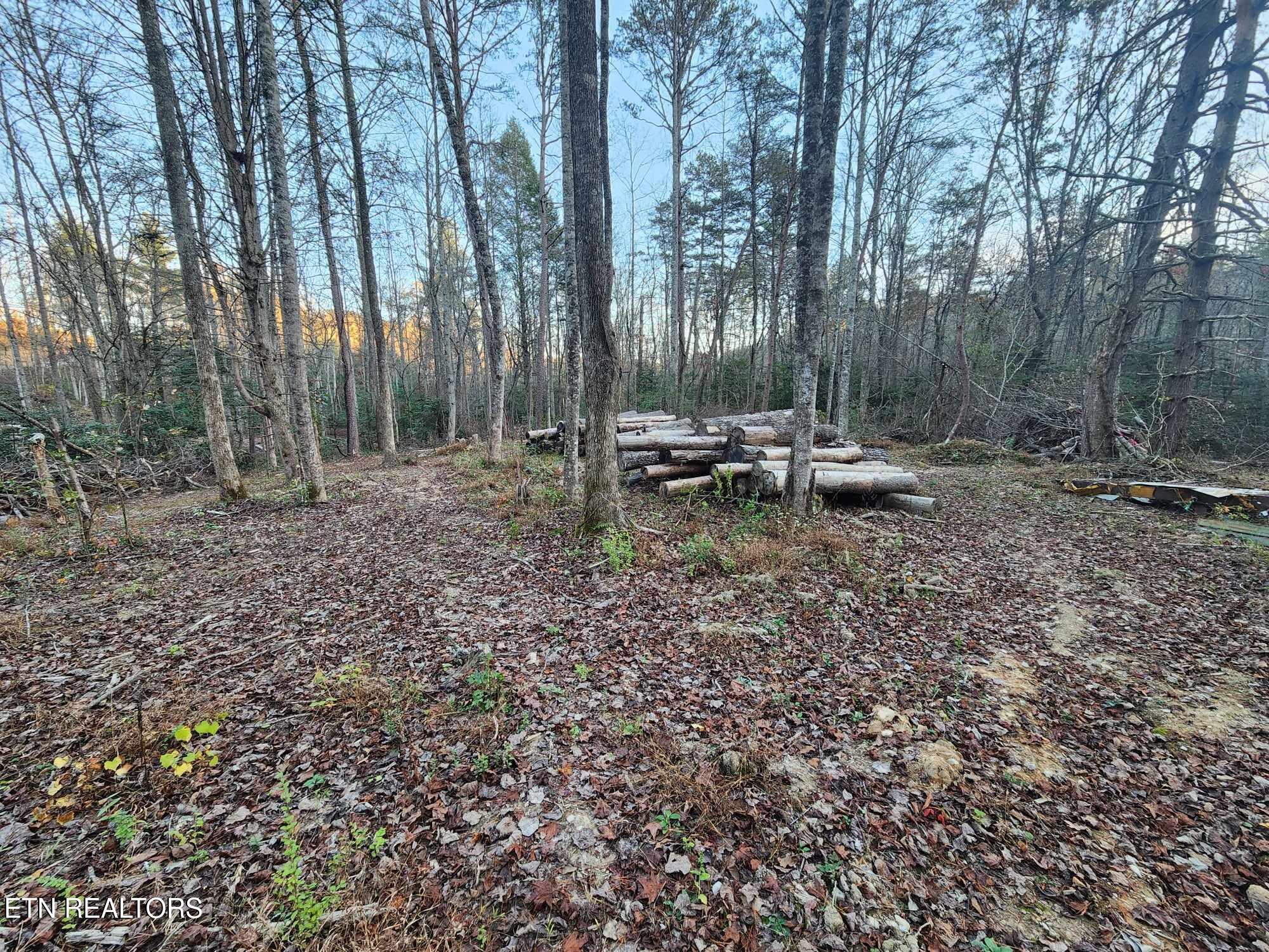 Copperhead Road Oakdale, TN 37829 - Photo 11 of 18 Copperhead Rd pic 11