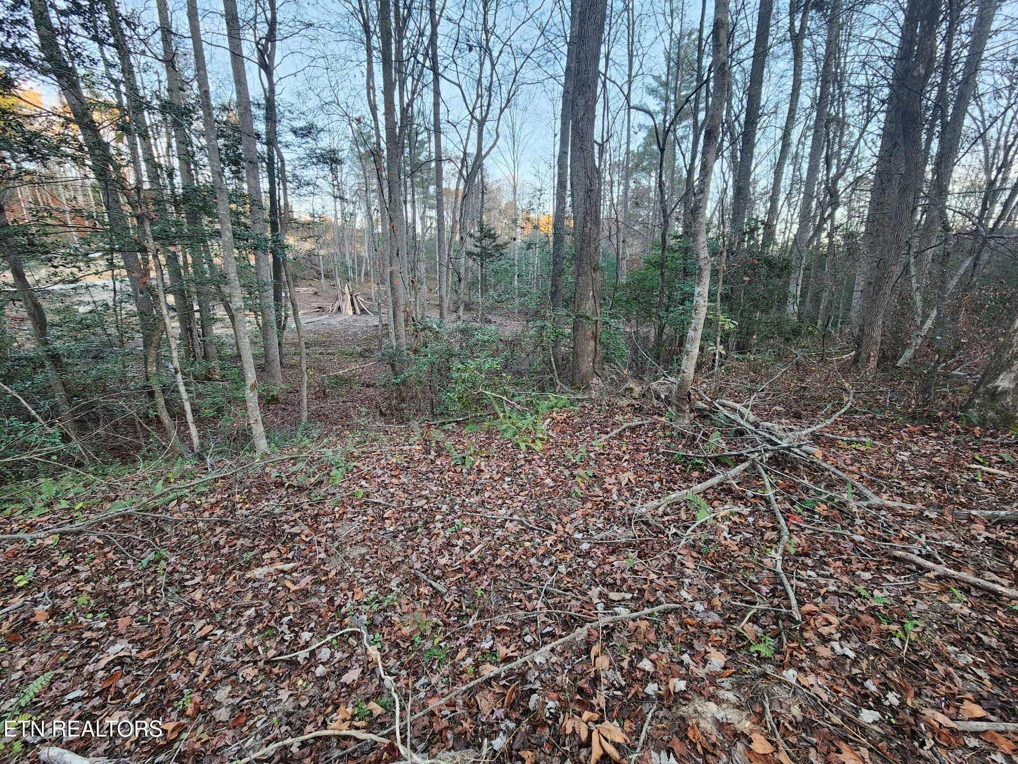 Copperhead Road Oakdale, TN 37829 - Photo 13 of 18 Copperhead Rd pic 16