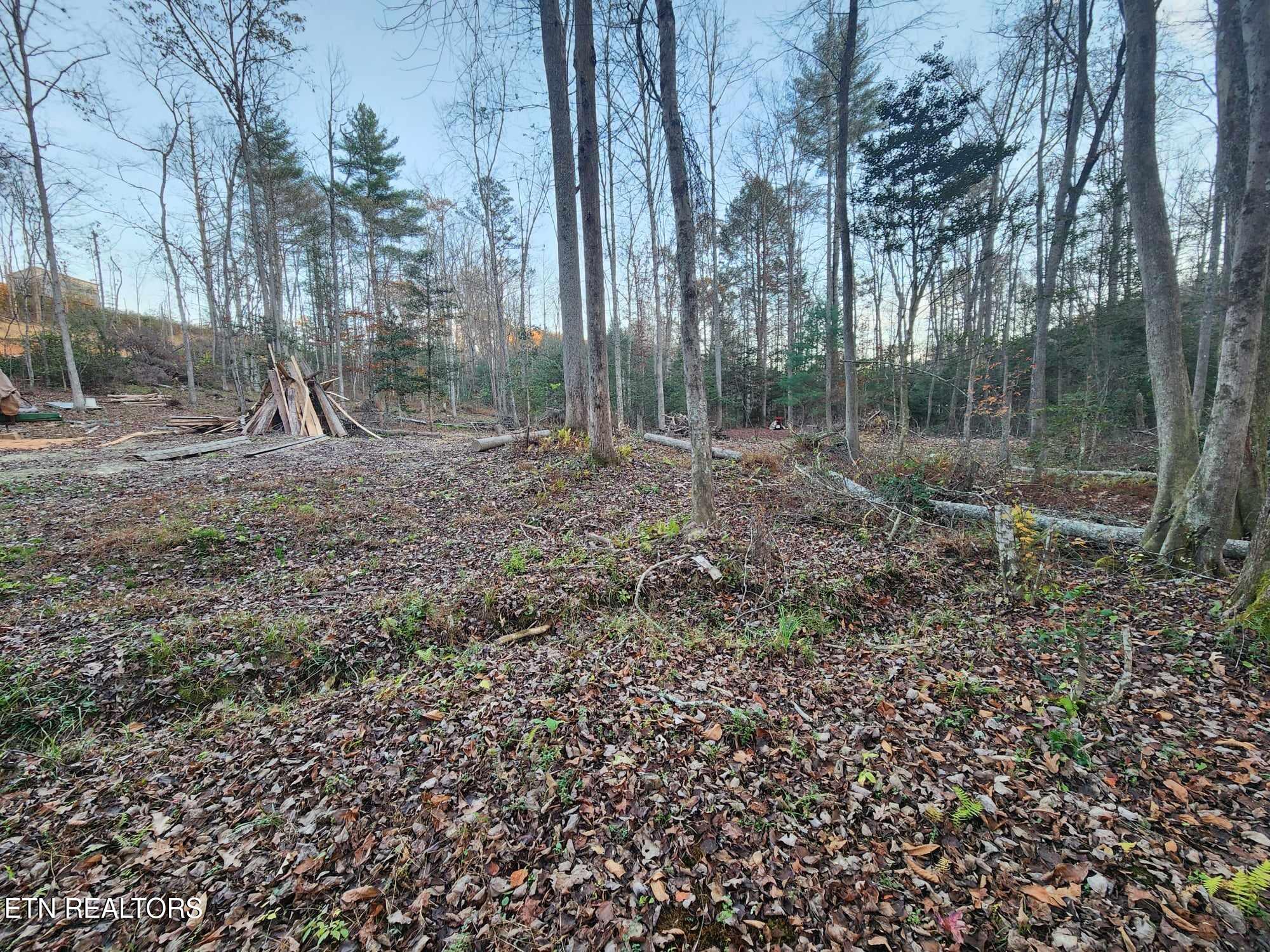 Copperhead Road Oakdale, TN 37829 - Photo 14 of 18 Copperhead Rd pic 17