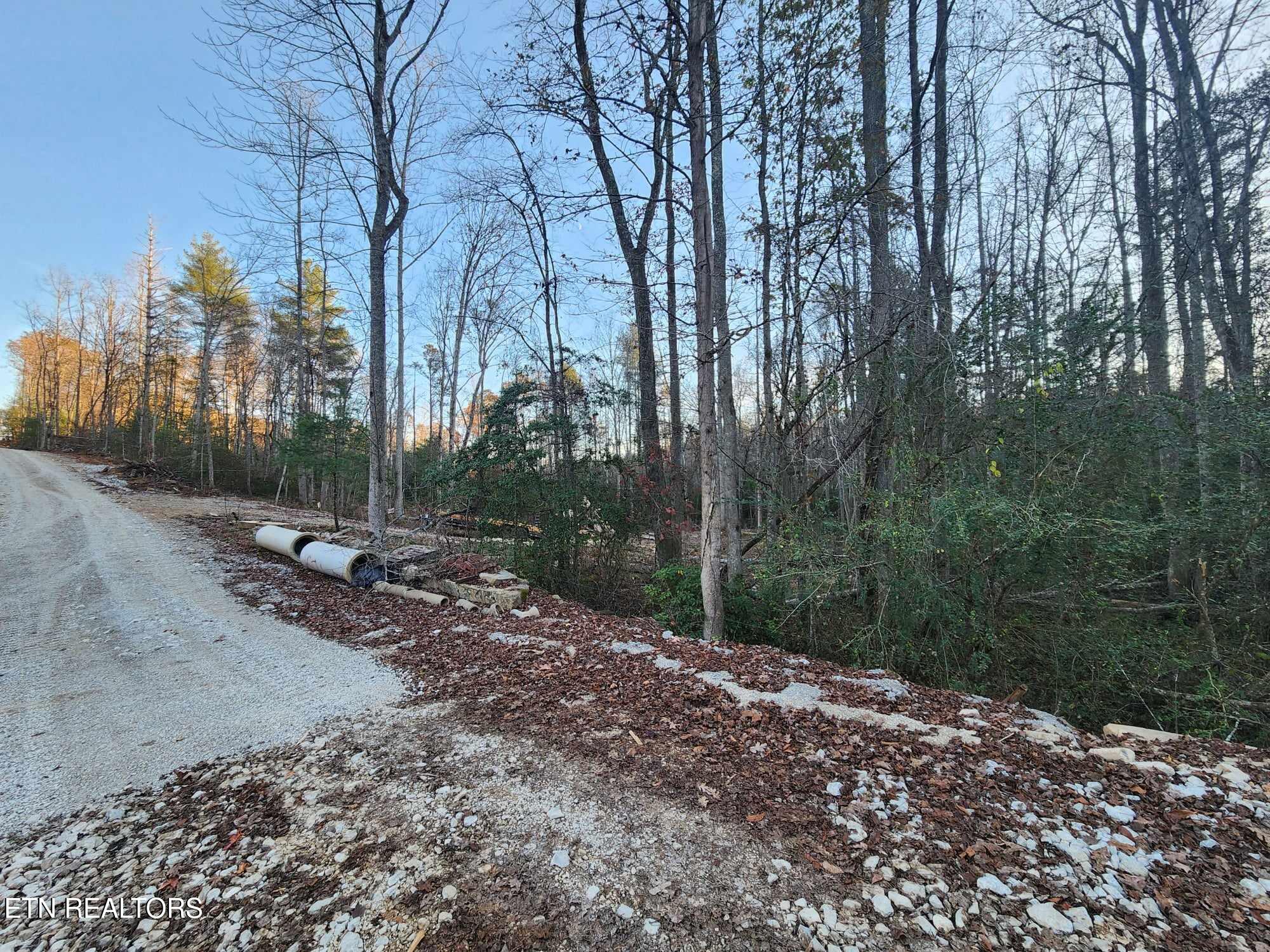 Copperhead Road Oakdale, TN 37829 - Photo 2 of 18 Copperhead Rd pic 9