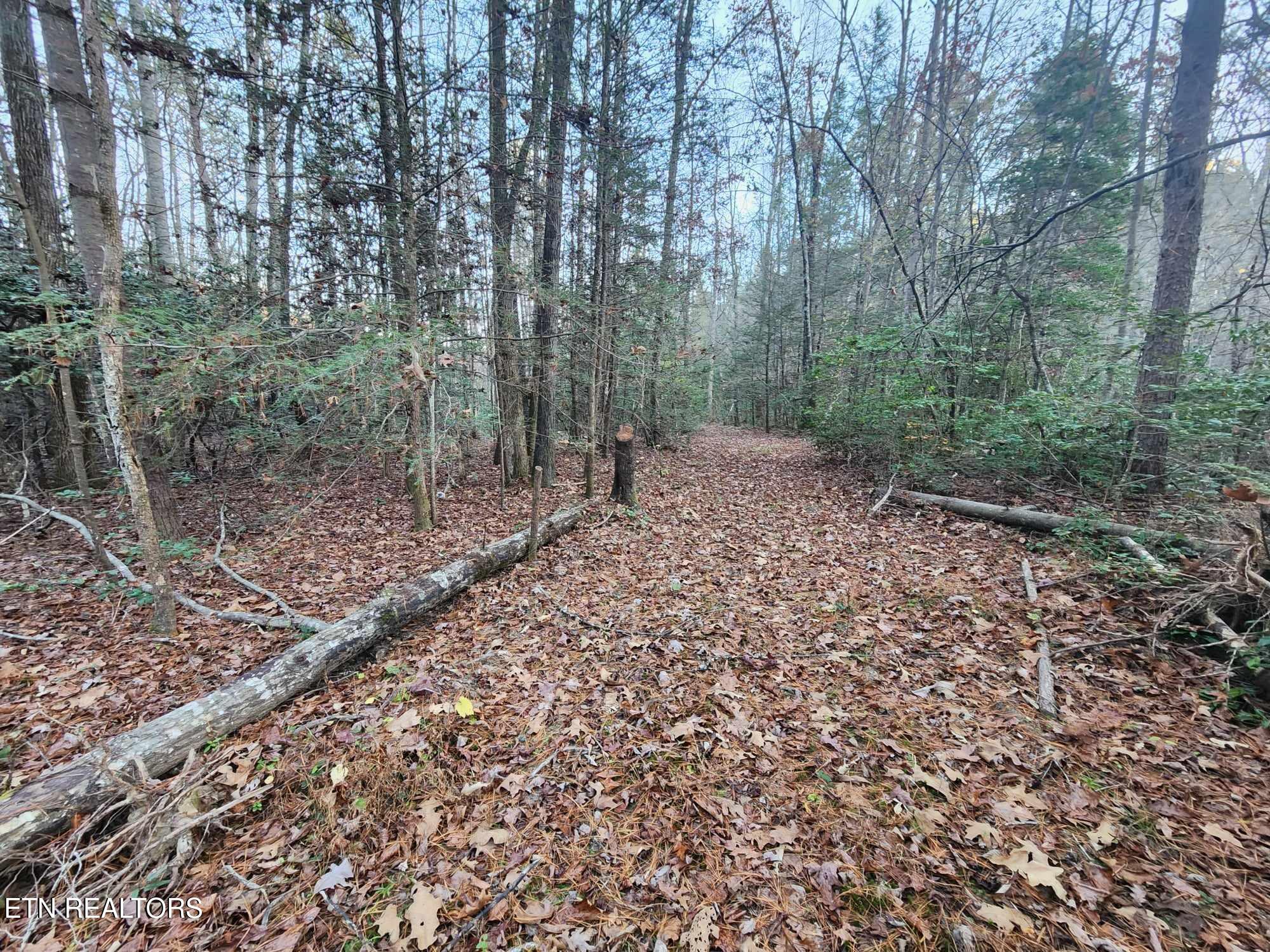 Copperhead Road Oakdale, TN 37829 - Photo 5 of 18 Copperhead Rd pic 12