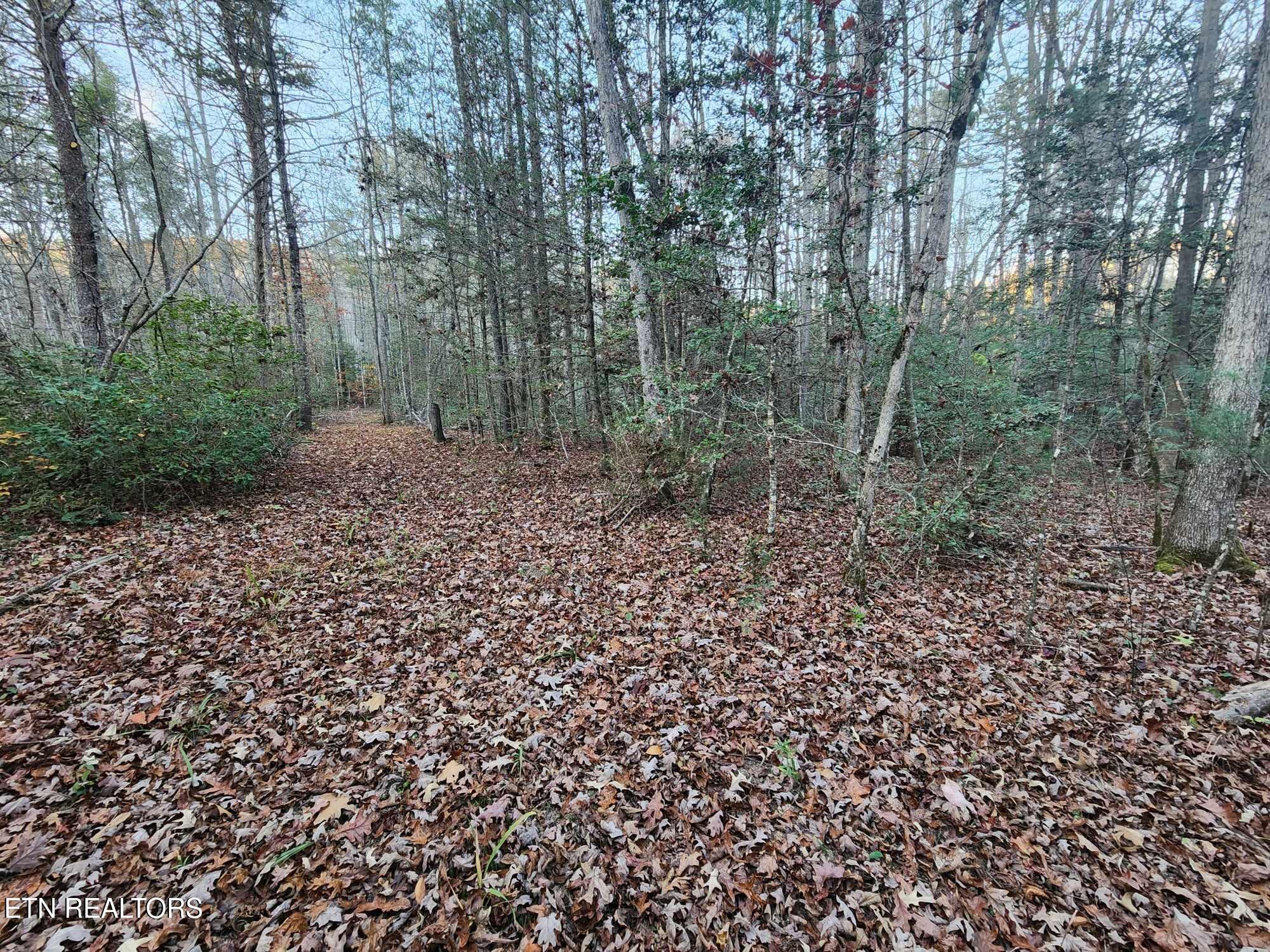 Copperhead Road Oakdale, TN 37829 - Photo 6 of 18 Copperhead Rd pic 14