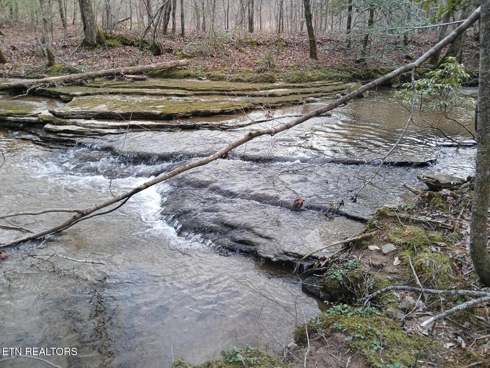 Copperhead Road Oakdale, TN 37829 - Photo 7 of 18 Copperhead Rd pic 7