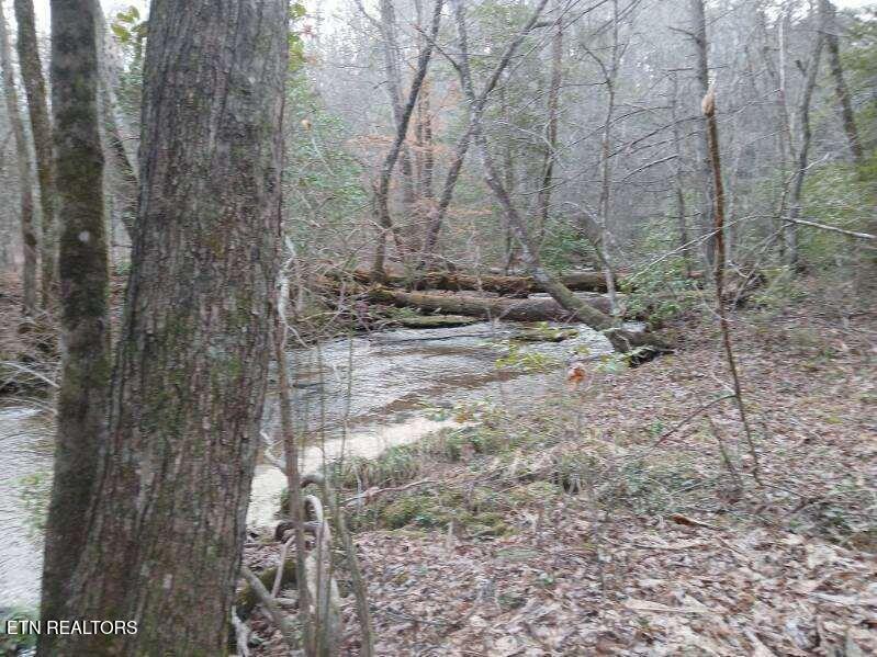 Copperhead Road Oakdale, TN 37829 - Photo 10 of 18 Copperhead Rd pic 8