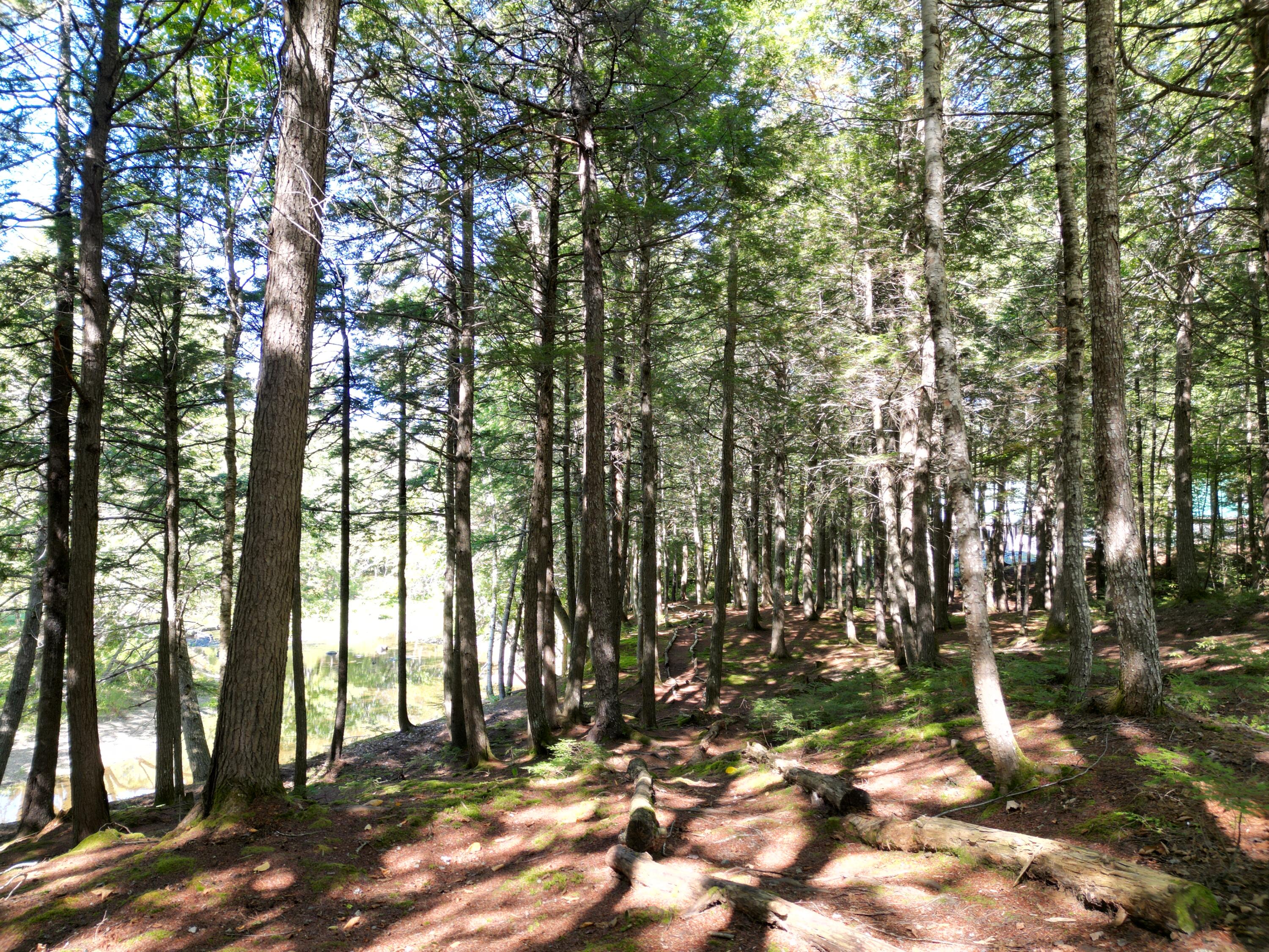 27-29 Loop Road Chester, ME 04457 - Photo 38 of 46 DJI_0019