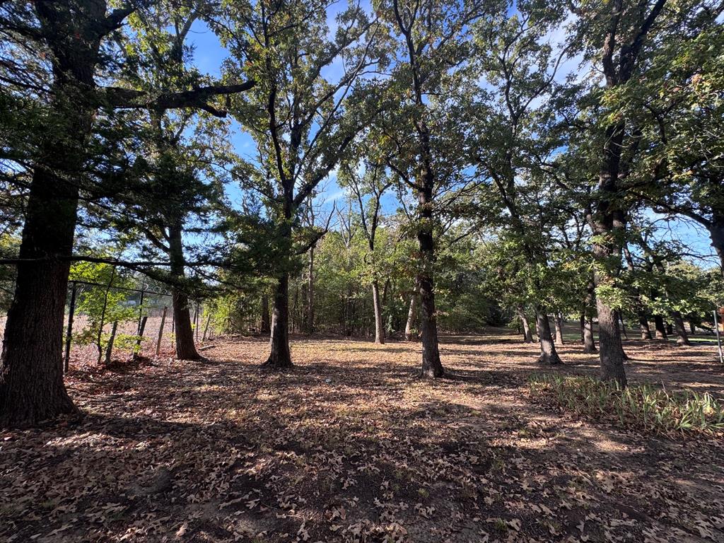 331 Frosty Hollow Road Denison, TX 75021 - Photo 27 of 40 Gallery Image 27