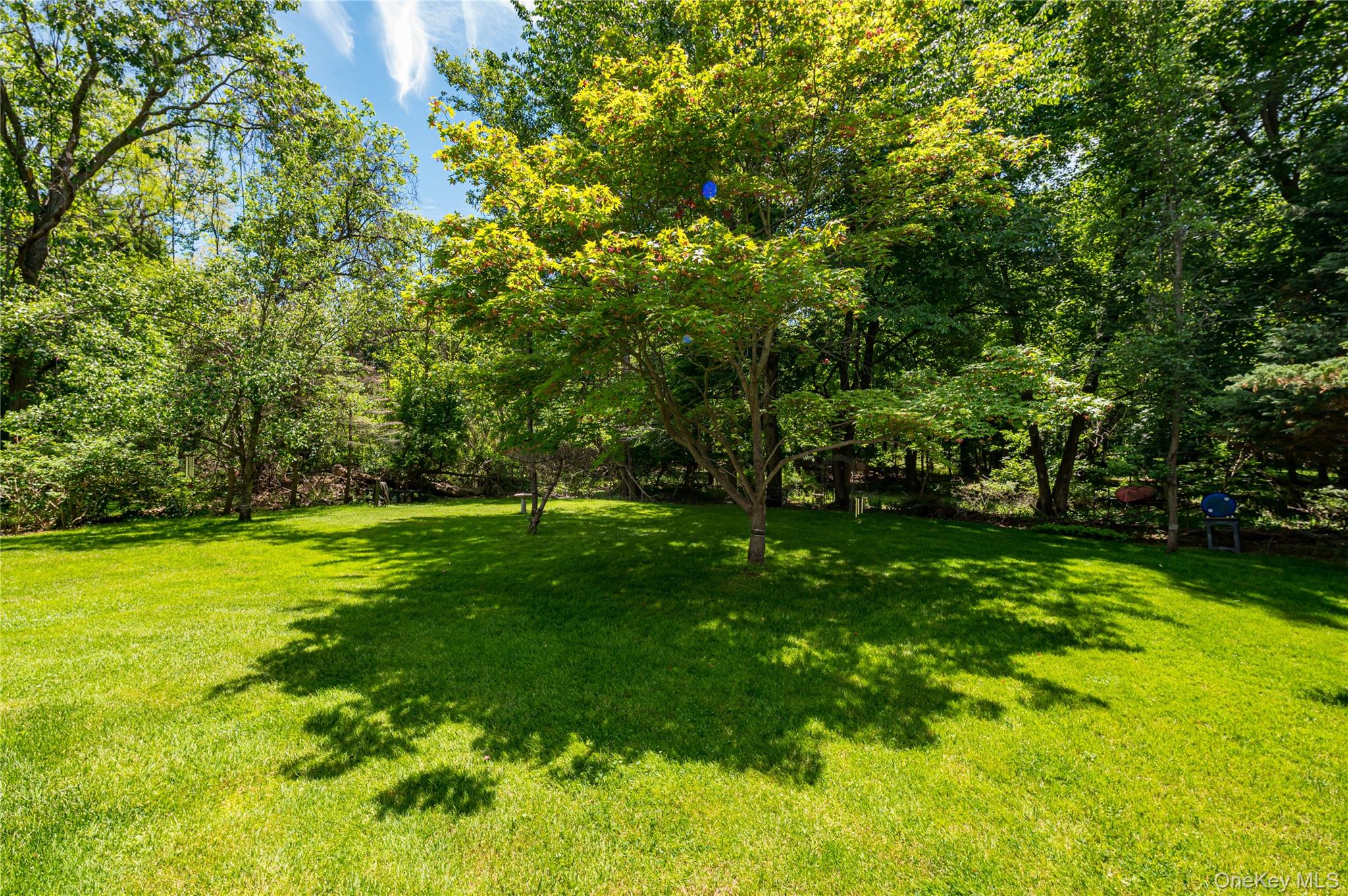 3 Thompson Hill Road St. James, NY 11780 - Photo 34 of 34 a view of field with trees in the background