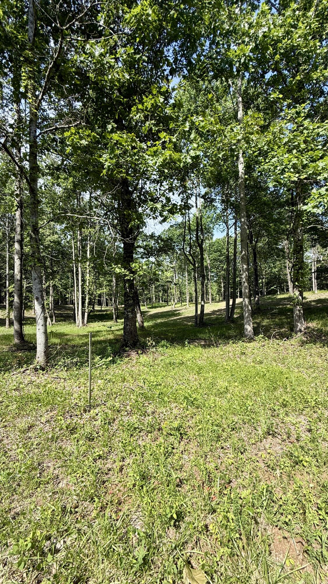 6 Hobbstown Road Dunlap, TN 37327 - Photo 15 of 22 IMG_1164