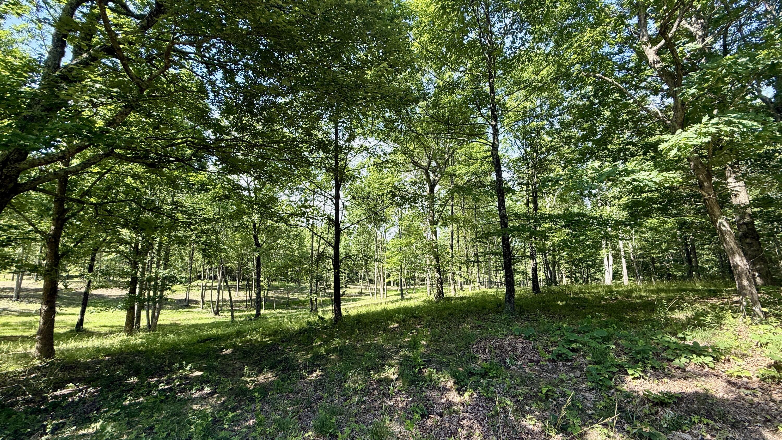 6 Hobbstown Road Dunlap, TN 37327 - Photo 8 of 22 IMG_1159