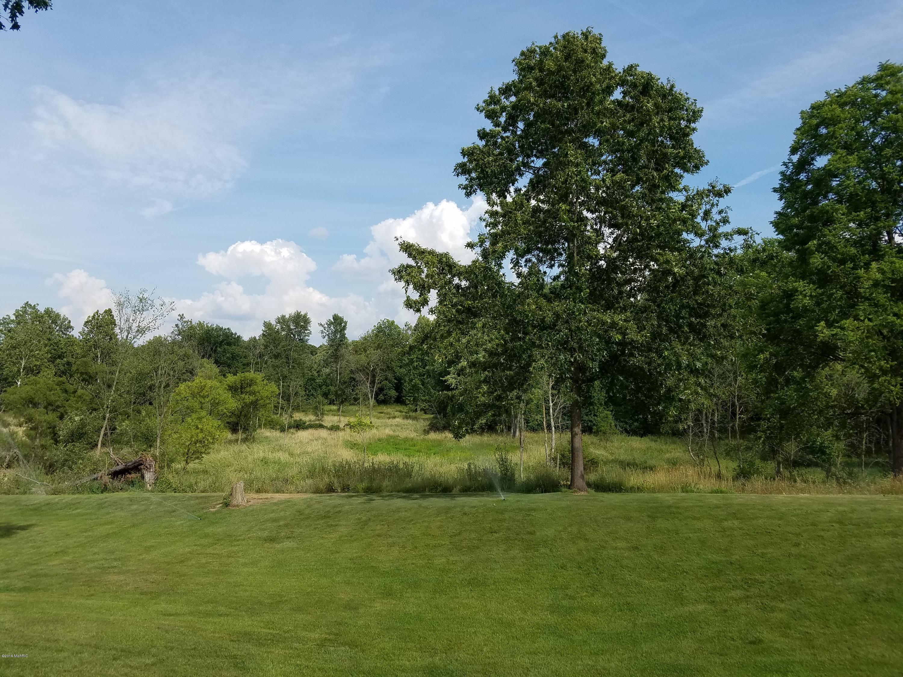 6904 Rivers Edge Lane Middleville, MI 49333 - Photo 39 of 48 2016-07-27 17.08.51