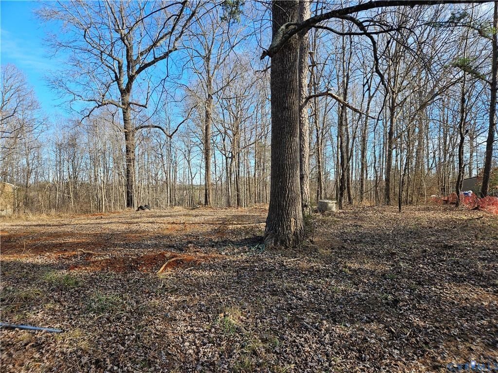 St James Road Jetersville, VA 23083 - Photo 2 of 5 Gallery Image 2