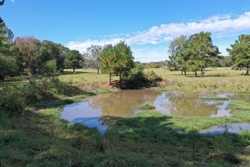 0 Five Forks Road Boston, GA 31626 - Photo 5 of 23 Making of a pond...