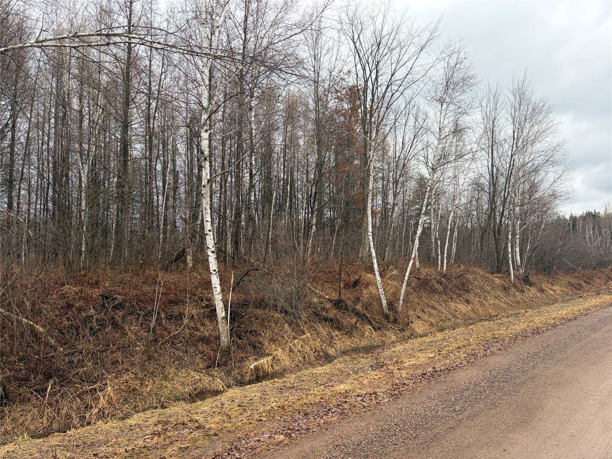 On Sheep Camp Road Ladysmith, WI 54848 - Photo 2 of 6 Gallery Image 2