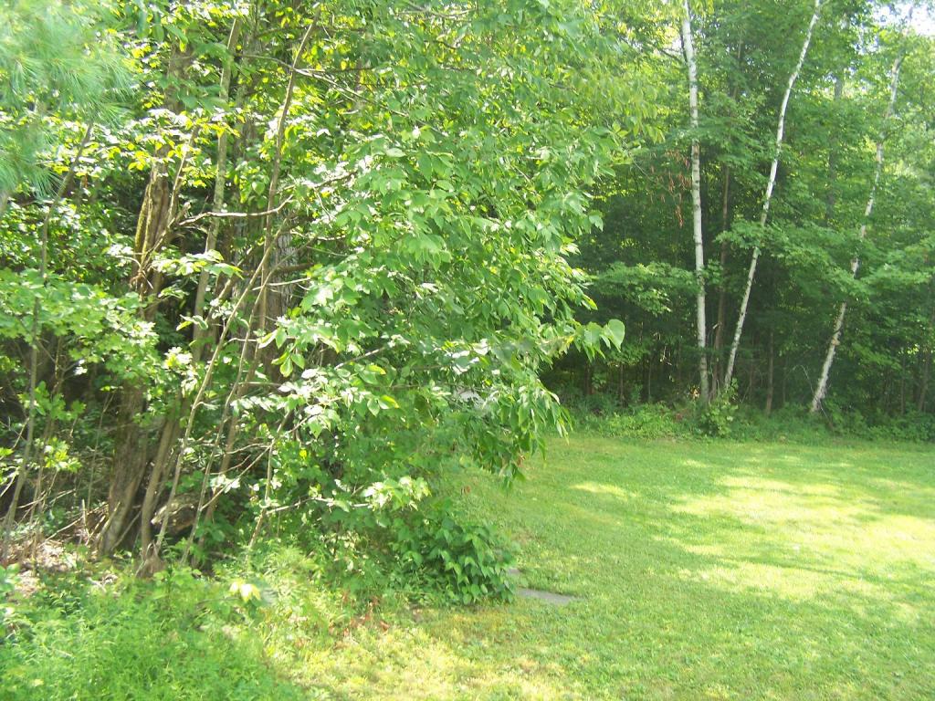 1478 West Lake Road Wells, VT 05774 - Photo 9 of 36 Gallery Image 9