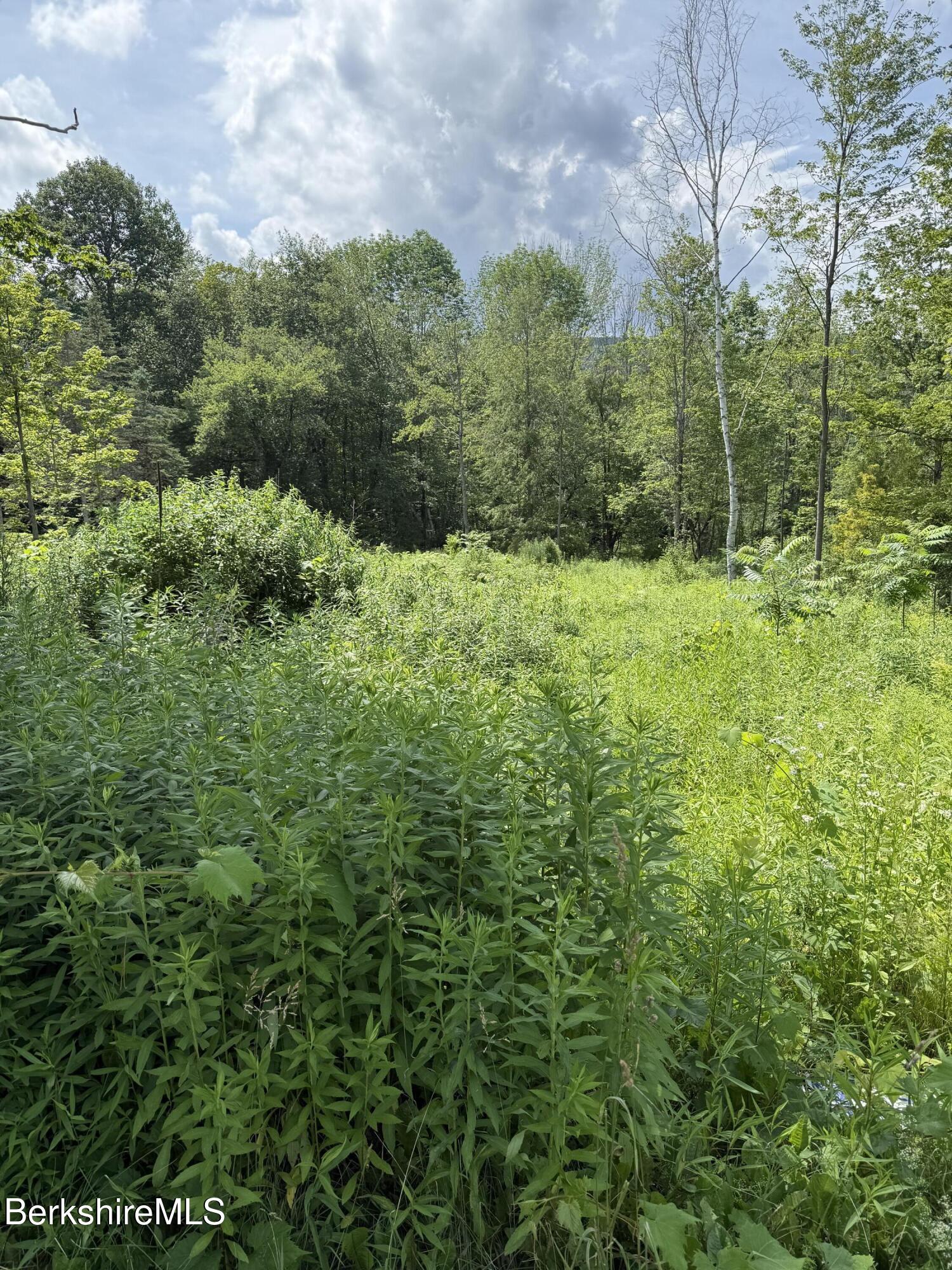 4 Upper Road Lanesborough, MA 01237 - Photo 5 of 7