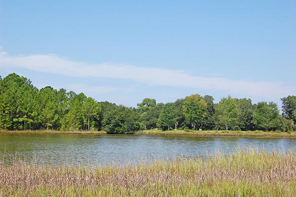 6586 Beagle Club Road, Unit LOT 10 Meggett, SC 29449 - Photo 1 of 1 6586BC_600