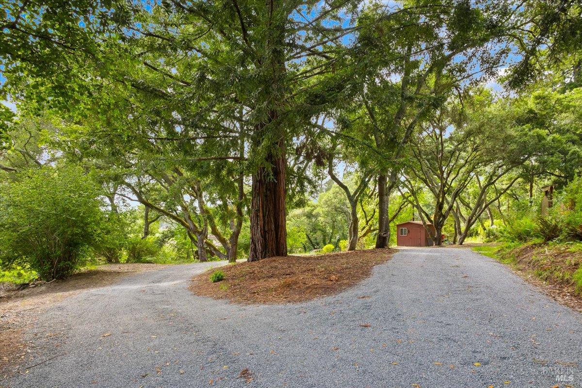 2019 Pleasant Hill Road Sebastopol, CA 95472 - Photo 7 of 77