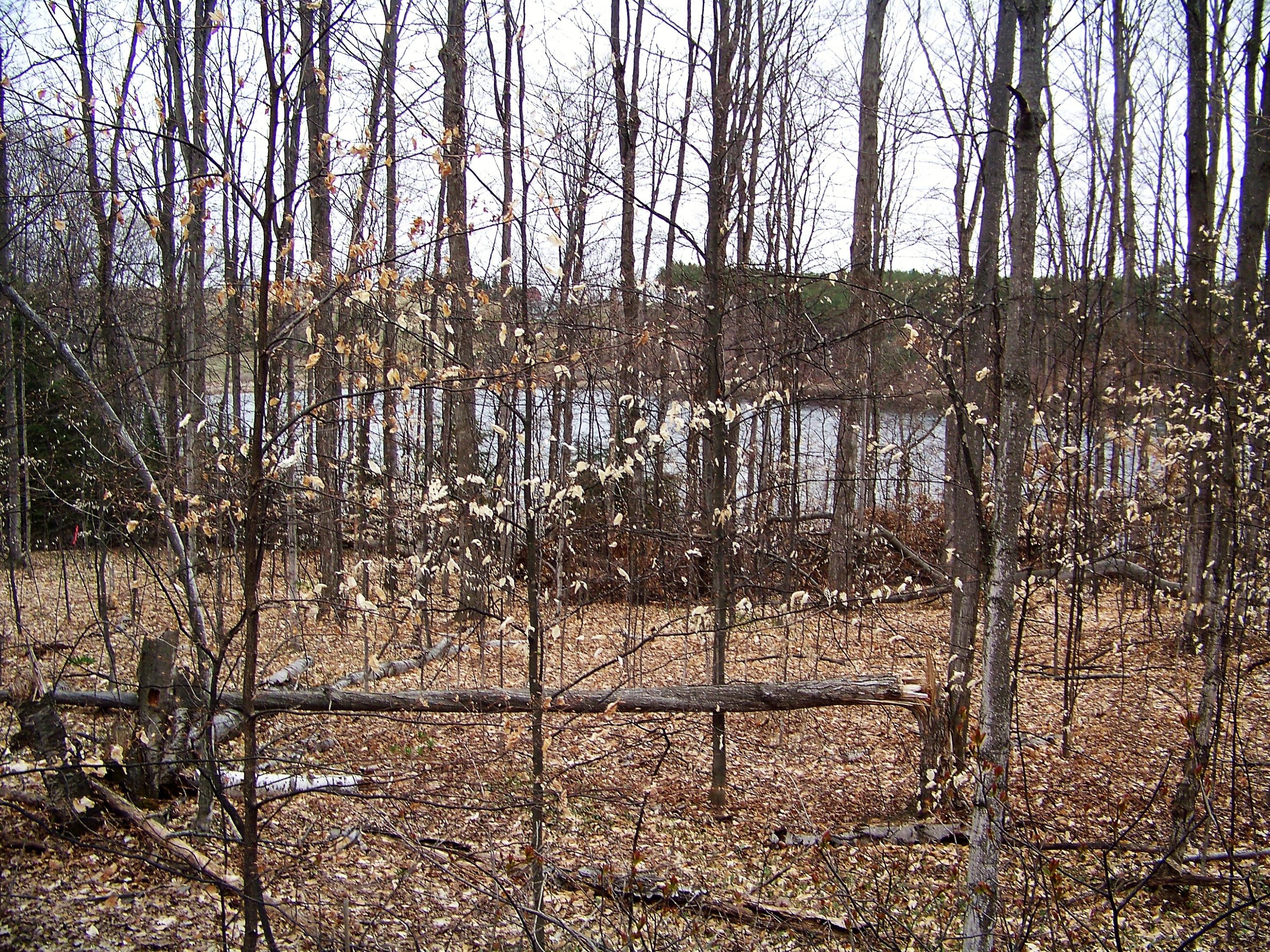 Guenther Ridge Gaylord, MI 49735 - Photo 13 of 15 Gallery Image 13