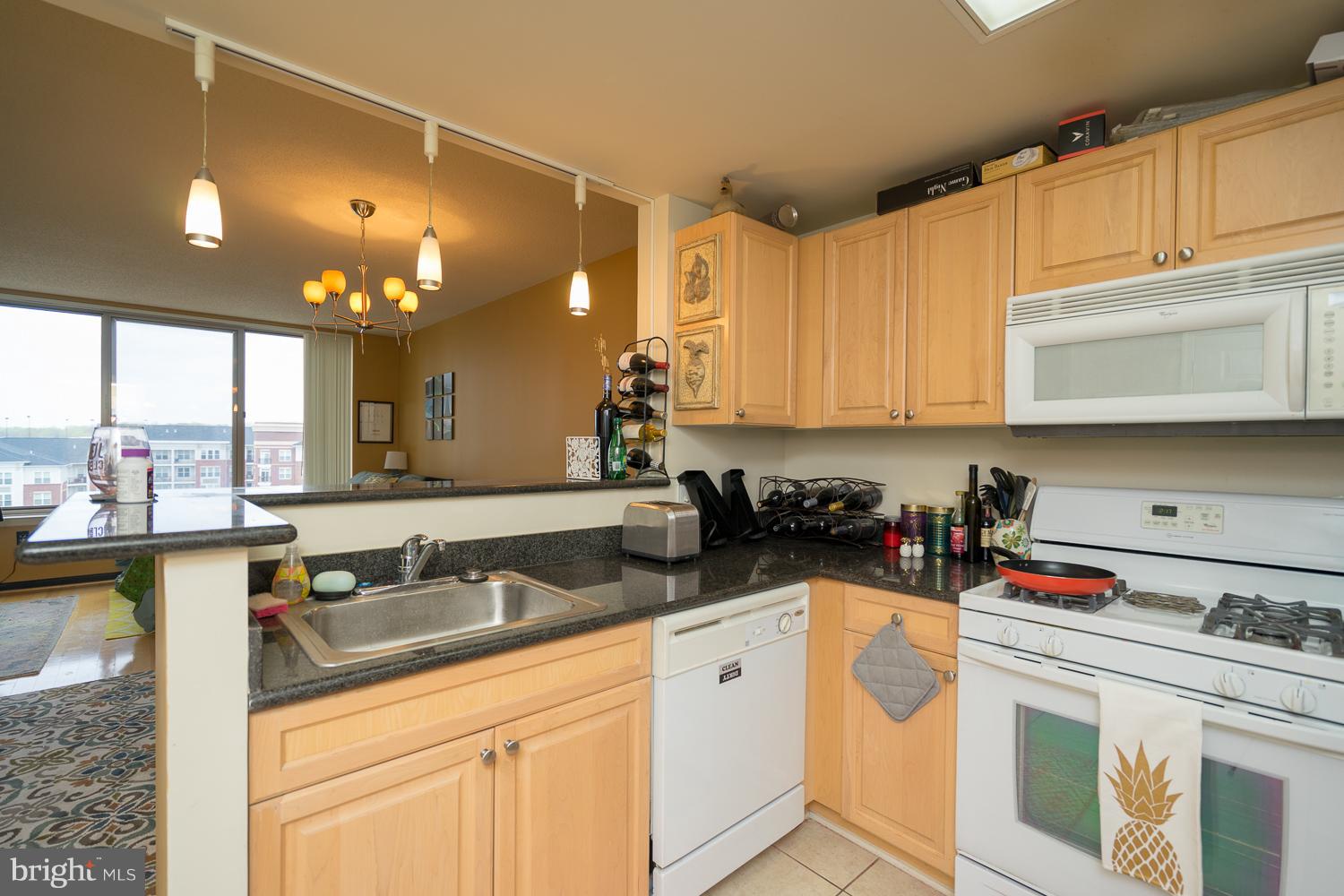 2726 Gallows Road, Unit 1002 Vienna, VA 22180 - Photo 6 of 18 Kitchen