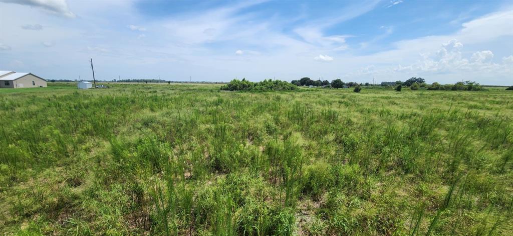 Weita Road Bartow, FL 33830 - Photo 2 of 6 Gallery Image 2