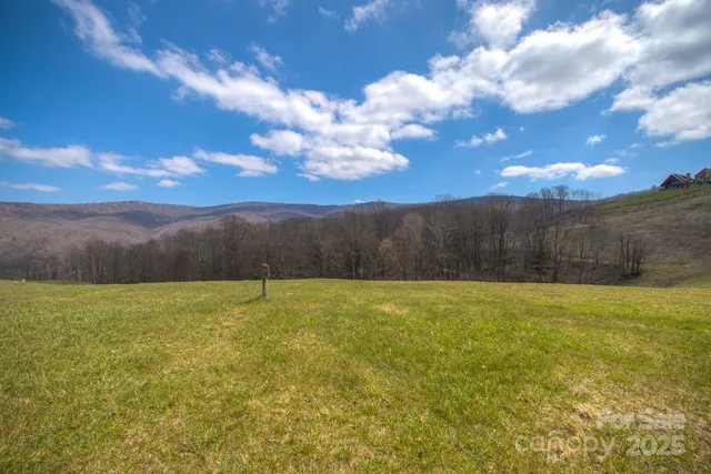 a view of yard with sunset