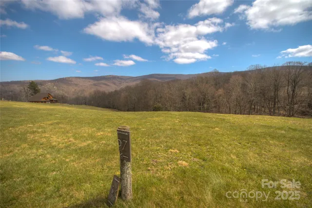 a view of a field with an ocean