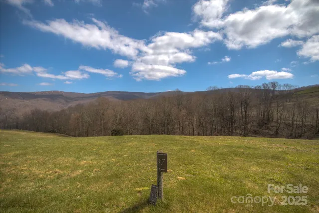 a view of a lake with a mountain