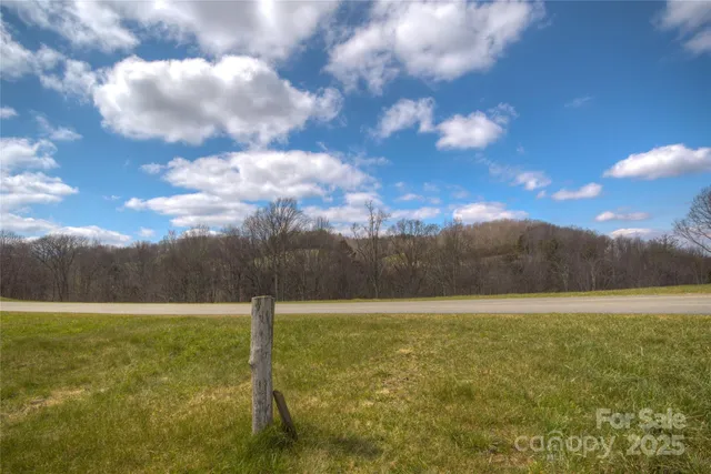 a view of a swimming pool with a yard and plants