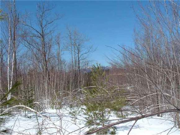 0 Mooney Hill Pound Road Madison, NH 03849 - Photo 1 of 2
