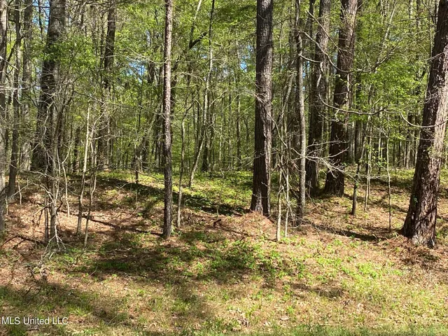 $483,000 | 0 West Adams Station Road, Edwards, MS 39066