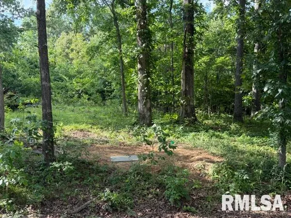 $60,000 | 0 Wagon Creek Loop, Creal Springs, IL 62922