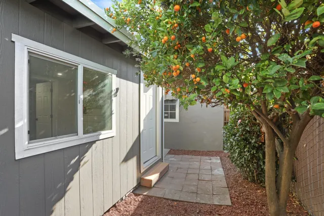 a view of a house with a tree
