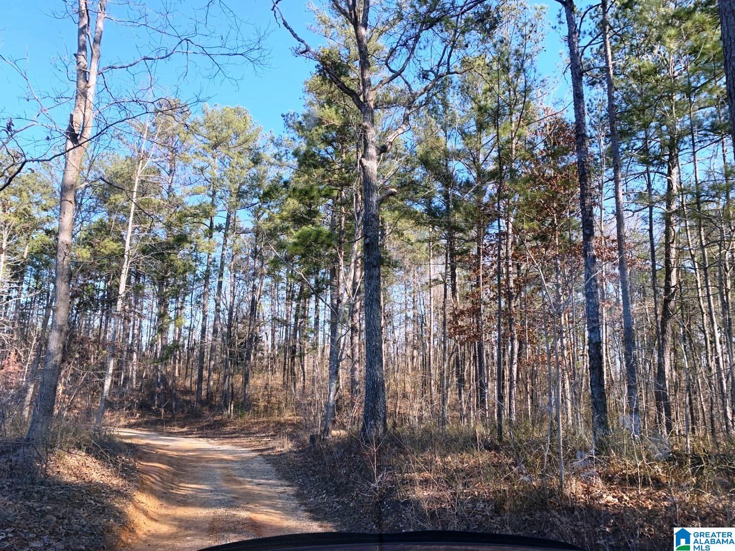 214 County Road, Unit 10 Fruithurst, AL 36262 - Photo 8 of 11