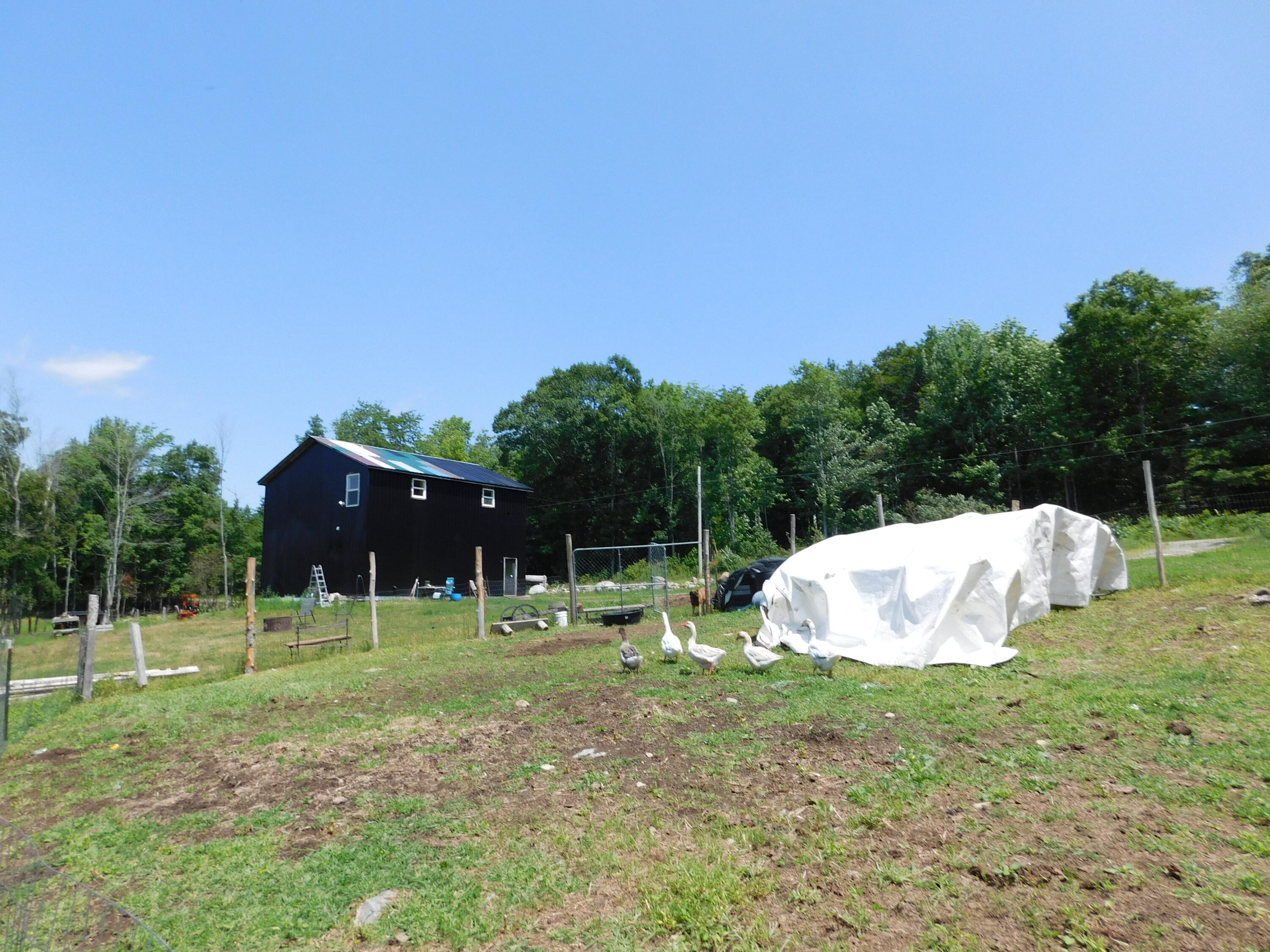 535 Betts Road Bucksport, ME 04416 - Photo 89 of 120 DSCN1364