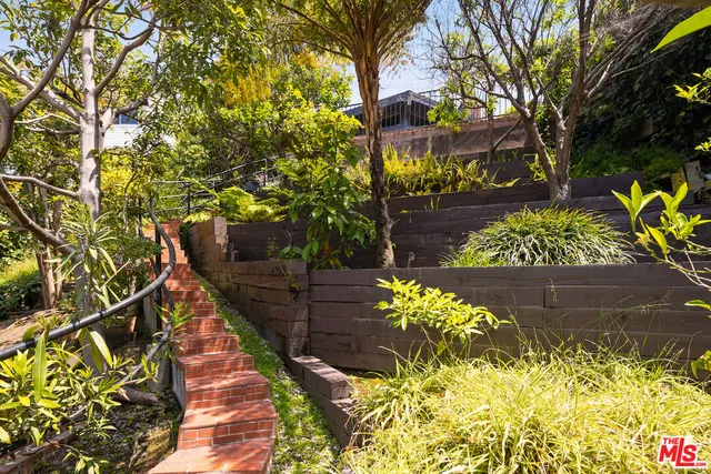 a view of a yard with plants and a bench