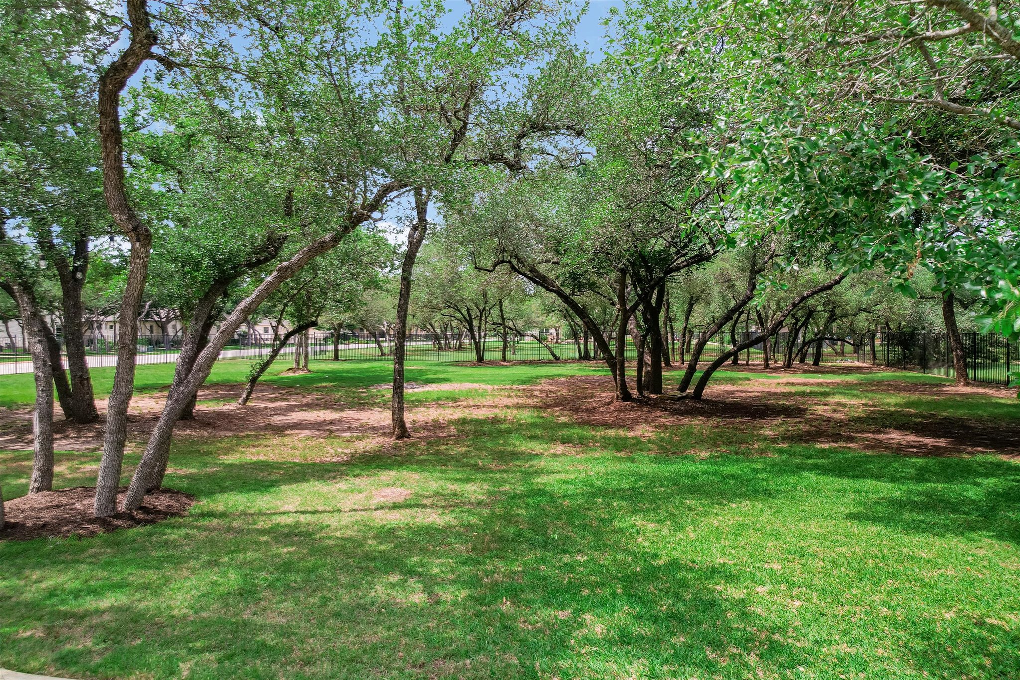 2561 Ridley House Cove Leander, TX 78641 - Photo 30 of 36 Expansive green space featuring numerous mature deciduous trees, natural ground cover, and dappled sunlight